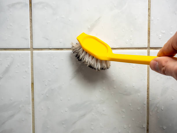 Best Preventive Mold Services in Lake St Croix Beach, MN