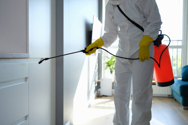 Best HVAC Mold Remediation in Lake St Croix Beach, MN