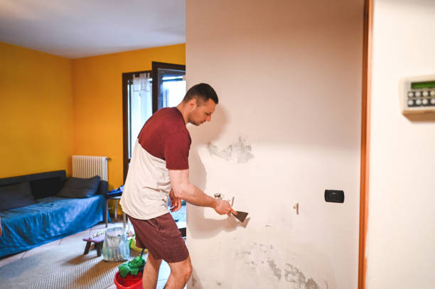 Best Kitchen Mold Remediation in Lake St Croix Beach, MN